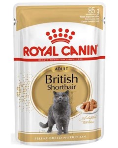 British Shorthair Корм влаж кус в соусе д британских кошек 85г Royal canin