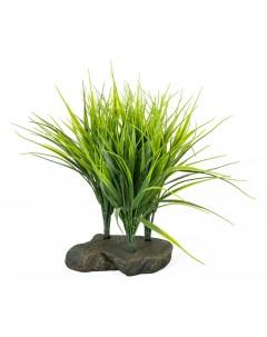 Декоративное растение для террариумов Sumatra Grass 20см Германия Lucky reptile