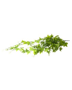 Декоративное растение для террариумов Ivy Bush 60см Германия Lucky reptile