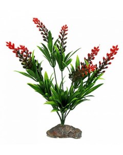 Растение для террариумов декоративное Borneo Grass 30 см Германия Lucky reptile