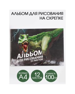 Альбом для рисования а4 на скрепках 12 листов Artfox study