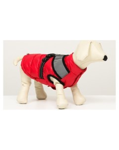 Куртка для собак со светоотражающей шлейкой размер14 ДС 32 ОГ 42 ОШ 31 красная Nnb