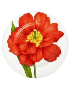 Тарелка обеденная Freedom Flower 27см Taitu