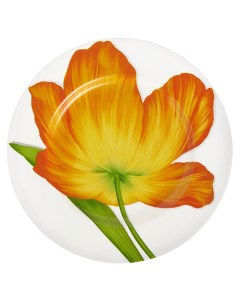 Тарелка обеденная Freedom Flower Taitu
