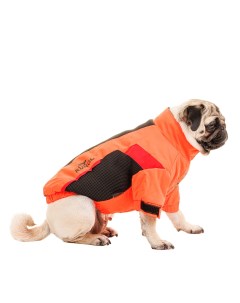 Куртка на молнии для собак L оранжевый унисекс Rungo