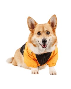 Куртка на молнии для собак 2XL желтый унисекс Rungo