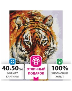 Картина по номерам 40х50 см Тигр на подрамнике акриловые краски 3 кисти 662473 Остров сокровищ
