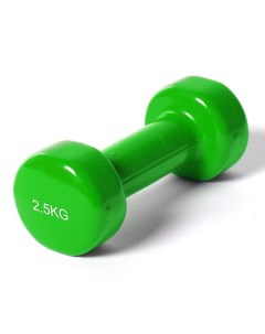 Гантель Sportex виниловая 2 5 кг B35017 зеленая York