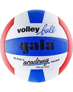 Мяч волейбольный Academy 5 ПУ BV5181S Gala
