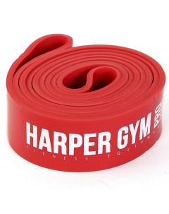 Эспандер для фитнеса замкнутый нагрузка 20 55 кг NT961Z Harper gym