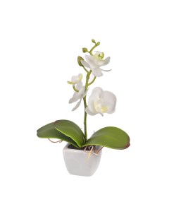 Растение искусственное в горшке Белая орхидея 16 см Engard
