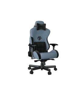 Кресло компьютерное T Pro 2 голубой черный Anda seat