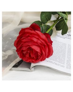 Цветы искусственные Роза бархатная 10 65 см красная Nnb