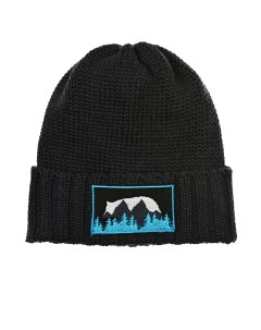 Темно серая шапка с патчем горы детское Regina