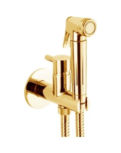 Гигиенический душ Elio EL870301010 встраиваемый со смесителем золото Webert