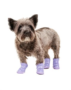 Ботинки дутики для собак S фиолетовый унисекс Petmax