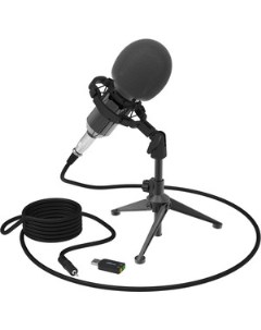 Микрофон RDM 160 black Ritmix
