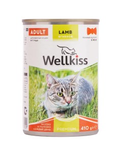 Adult консервированный корм для взрослых кошек с ягненком в желе 410г Wellkiss