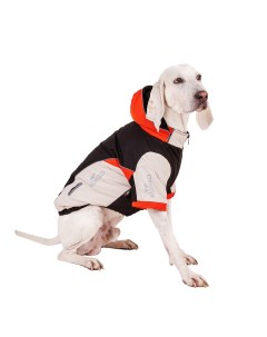 Куртка на молнии для собак 4XL черный унисекс Rungo