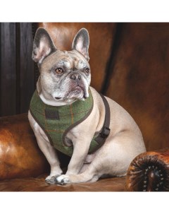 Digby Fox Твидовая шлейка для собак Шерлок Холмс L 56 85см Великобритания Shires