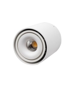 Накладной светильник ORBIN TUB White Ledron
