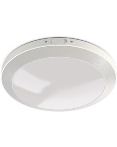 Пылевлагозащищенный светильник 43767 X-flash