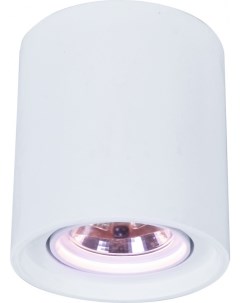 Накладной светильник A9262PL 1WH Arte lamp