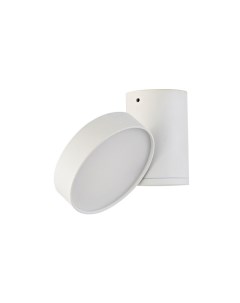 Накладной светильник DL18811 23W White R Dim Donolux