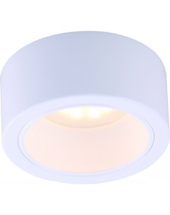 Накладной светильник A5553PL 1WH Arte lamp