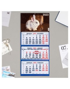 Календарь квартальный трио Символ года 13 2023 год 31х69см Издательство каленарт
