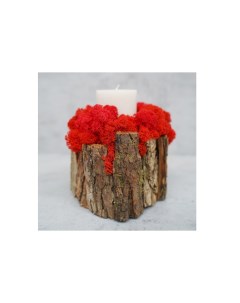 Декоративная свеча с красным мхом коричневый 16x16x19 см Wowbotanica