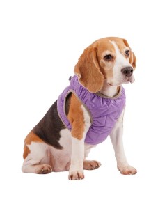 Шлейка фиолетовая со светоотражающей лентой XL Rurri
