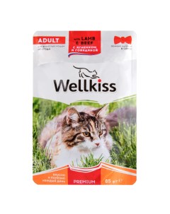 Adult Влажный корм пауч для взрослых кошек с ягненком и говядиной в соусе 85 гр Wellkiss