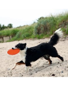 Игрушка для собак Диск для фрисби силикон цвет в ассортименте 22 см Trixie