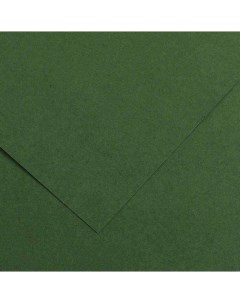 Бумага тонированная Iris Vivaldi 50х65 см 185 г 31 Зеленый еловый Canson
