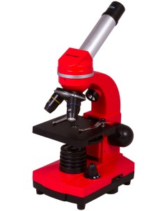 Микроскоп Junior Biolux SEL 40 1600x красный 74320 Bresser