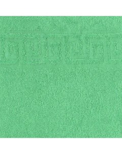 Полотенце махровое 50x90 Ашхабад зеленое зк2 Инсантрик