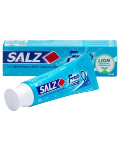 Зубная паста Fresh для комплексной защиты 90 г Salz Lion thailand
