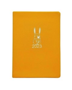 Ежедневник датированный 2023 Rabbit оранж 140х200 мм 352 стр интегральный переплет Infolio