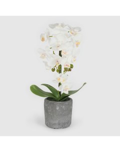 Цветок искусственный в горшке орхидея белая 3 цвета 42 см Fuzhou light