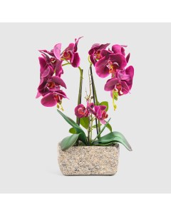 Цветок искусственный в горшке орхидея бордовая 36 см Fuzhou light
