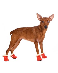 Ботинки замшевые для собак S оранжевый унисекс Petmax