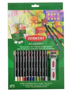 Набор карандашей для рисования цветные Academy 2305678 Derwent