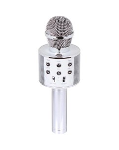 Микрофон УТ000023047 Silver для караоке со встроенным динамиком Red line