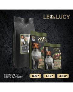 Leo Lucy сухой полнорационный корм для собак мелких пород с ягненком травами и биодобавками 4 5 кг Leo&luсy