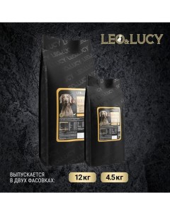 Leo Lucy сухой полнорационный корм для пожилых собак крупных пород с уткой тыквой и биодобавками Leo&luсy