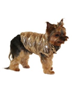 Куртка для собак Бронза унисекс р р XL Yoriki