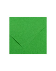 Бумага тонированная Iris Vivaldi 50х65 см 240 г 29 зеленый Canson