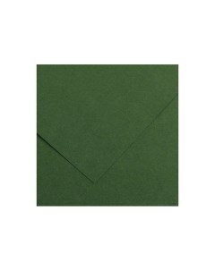 Бумага тонированная Iris Vivaldi 50х65 см 240 г 31 темно зеленый Canson