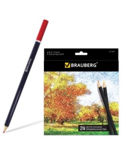 Набор цветных карандашей Artist line 24 шт 176 мм Brauberg